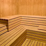 Delfi & Wellness Center Ξενοδοχείο 3*