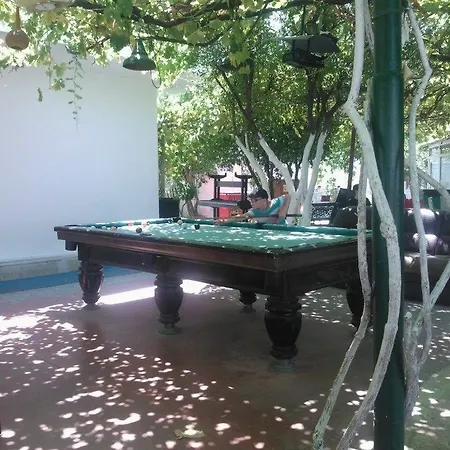 Delfi & Wellness Center Bodrum