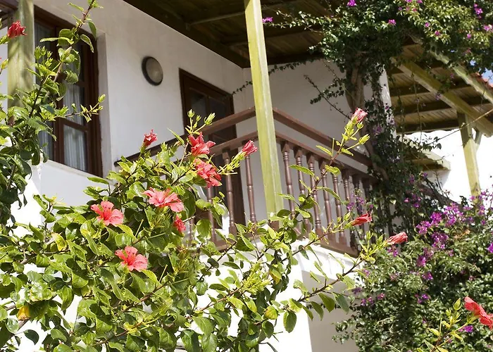 Delfi Spa&wellness Center