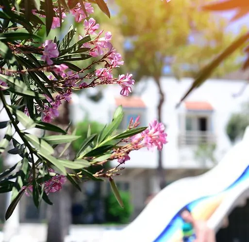 Hotel Delfi Spa&wellness Center