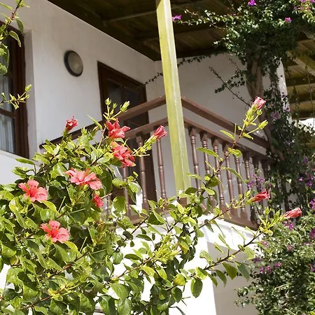 ديلفي سبا آند ويلنس سنتر