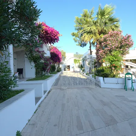 Delfi & Wellness Center 3*