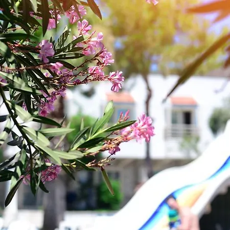 מלון Delfi & Wellness Center