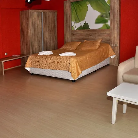 Hotell Delfi & Wellness Center 3*