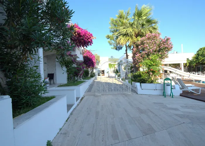 Delfi & Wellness Center 3*