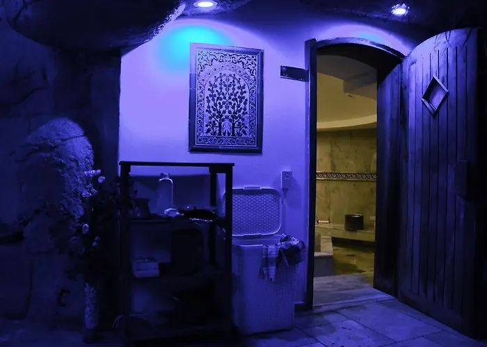 Hotel Delfi & Wellness Center 3*